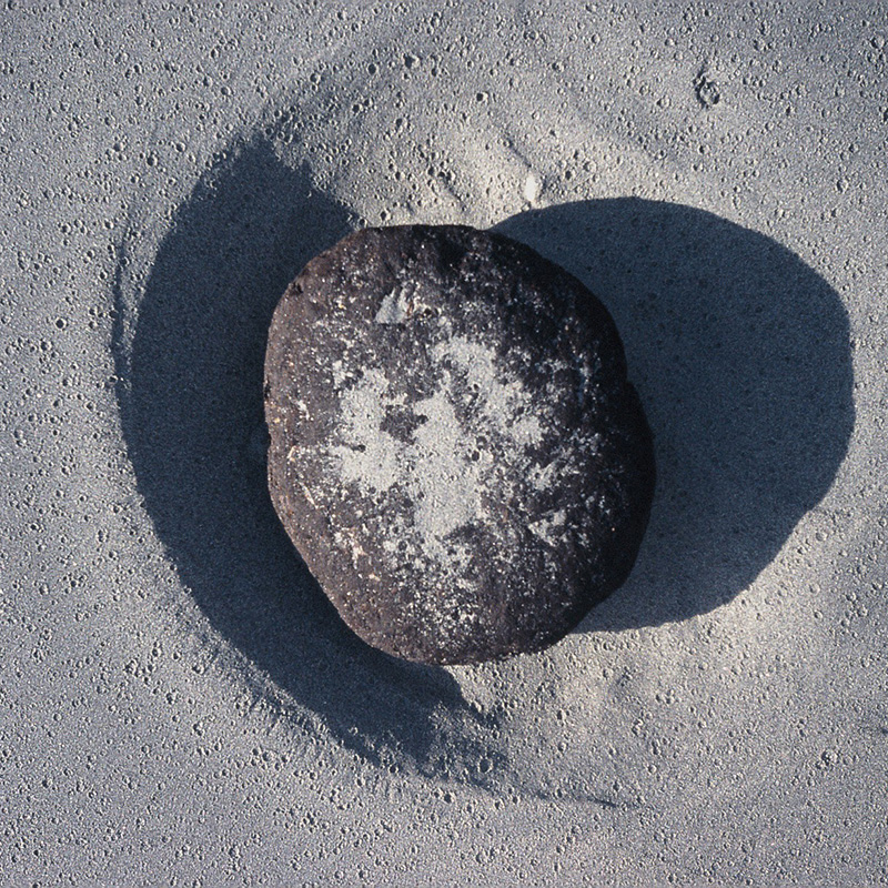 Details of Landscape